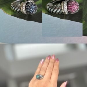 anillos estadounidense de Florida