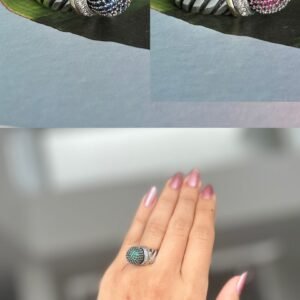 anillos estadounidense de Florida