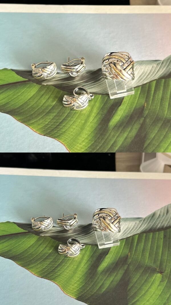 2138 - Joyeria oro plata por mayor Miami 1